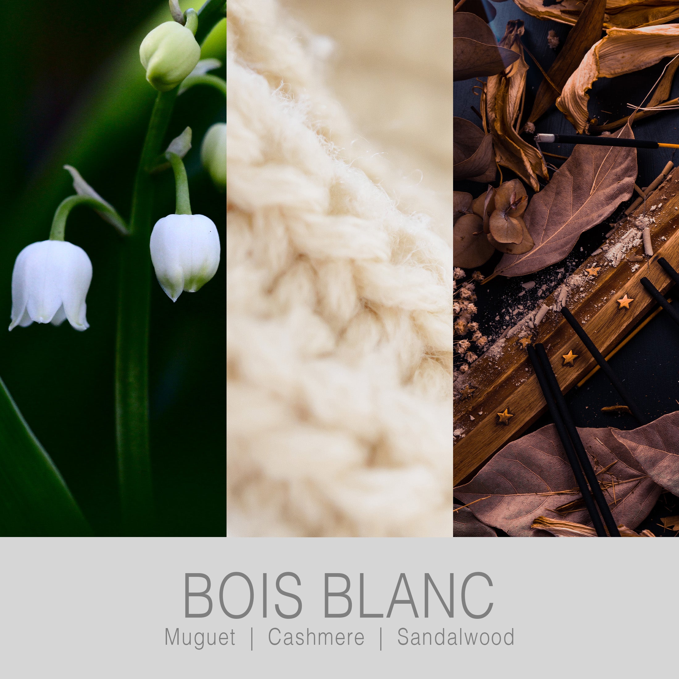 Bois Blanc Body Milk