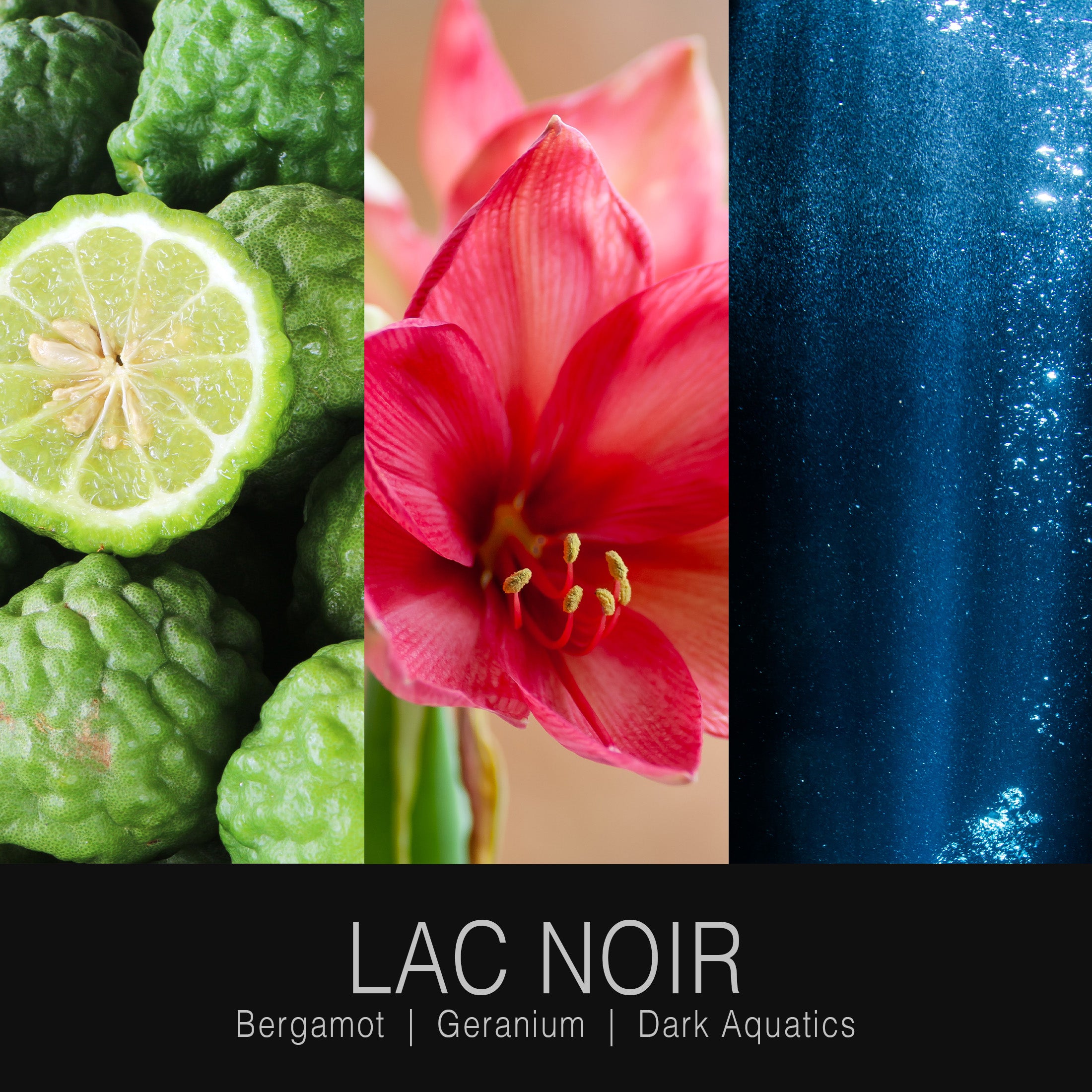 Lac Noir Shimmering Body Mist