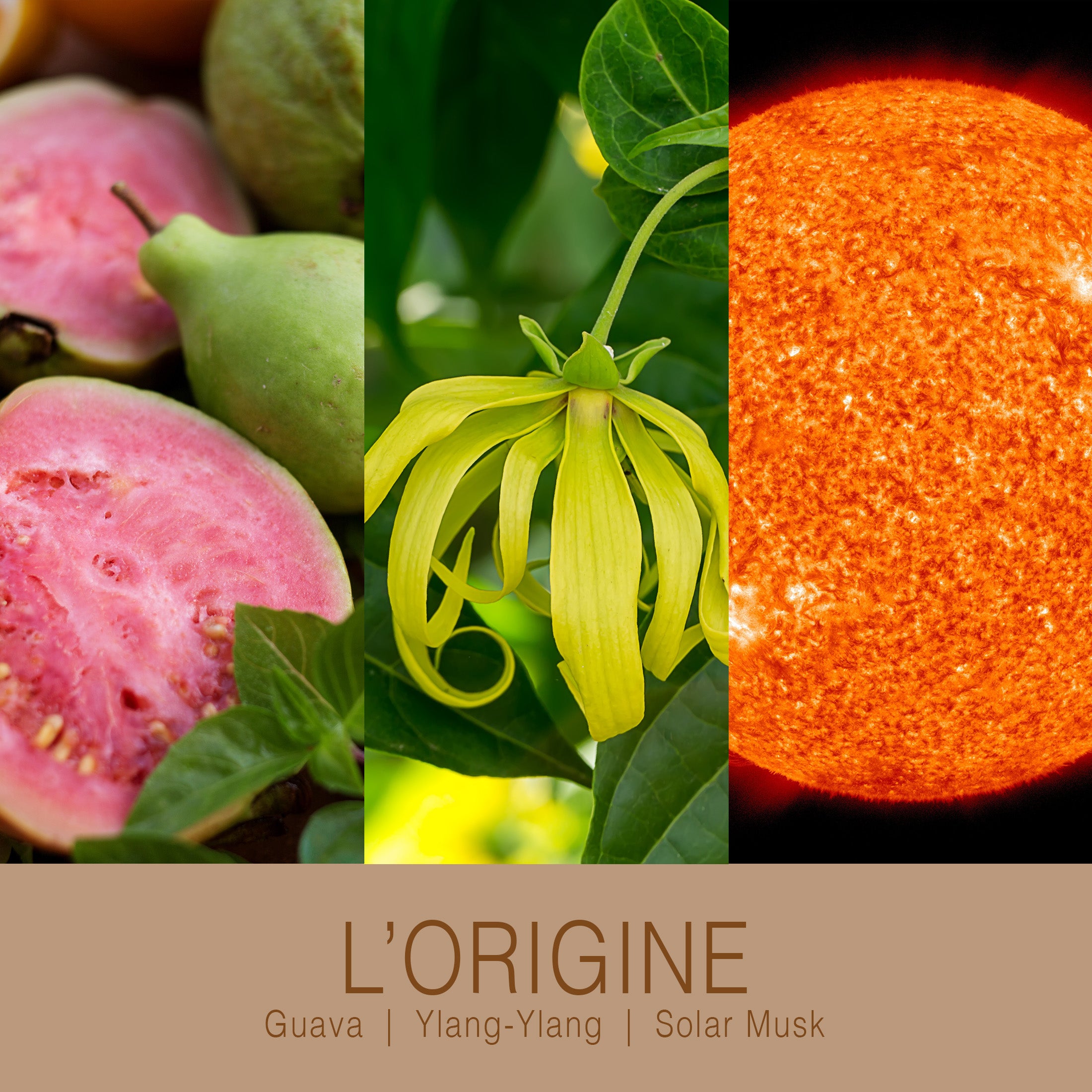 L'origine Eau De Parfum